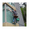 Visible Window Cleaning